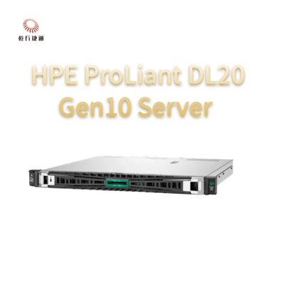 HPE ProLiant DL20 Gen10 Server Compact Versatile For Retail Chain Enterprises，2 way server， data storage server
