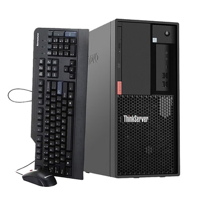 Lenovo TS90X Commercial Office Computer ERP Financial System Server E-2324G/16G/ 256G+2*1T