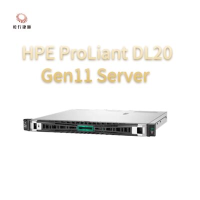 HPE ProLiant DL20 Gen11 Rack Server ，flash storage system，xeon cpu server