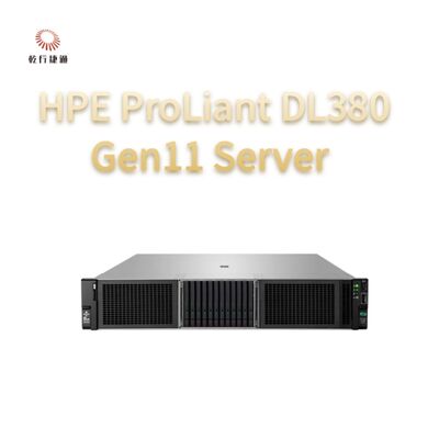 HPE ProLiant DL380 Gen11 rack server，custom storage server，2 way server