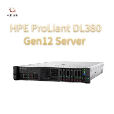 HPE ProLiant Compute DL380 Gen12 Rack Storage Server，custom storage server，2 way server
