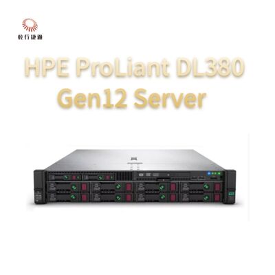 HPE ProLiant Compute DL380 Gen12 Rack Storage Server，custom storage server，2 way server