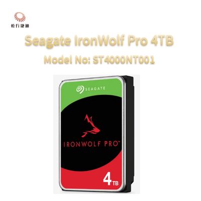 Seagate Ironwolf Pro 4TB Model No: ST4000NT001