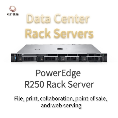 1U PowerEdge R250 Rack Server Premium Customization